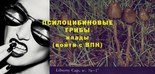 стаф Карпинск