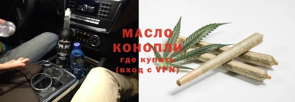 амф Каменка