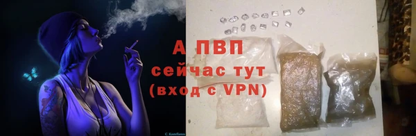 стаф Карпинск