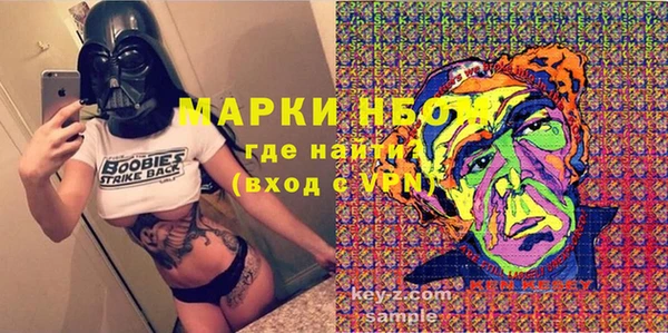 прущие грибы Карталы