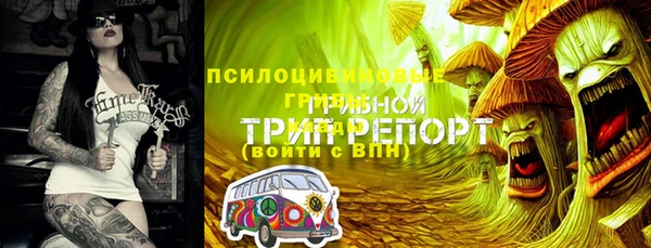 стаф Карпинск