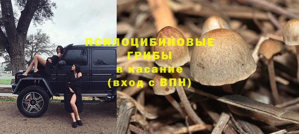 Альфа ПВП Касимов