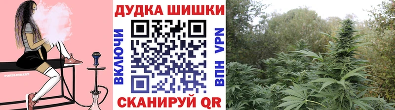 Бошки Шишки индика  купить наркотики сайты  Киселёвск 